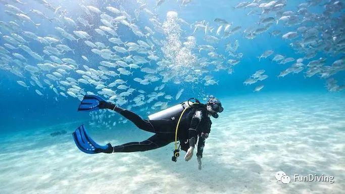 神秘莫测的湛蓝：克罗地亚的“海洋之瞳” | 每日一图 狐瞰世界